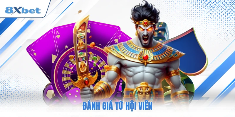 Đánh giá từ hội viên
