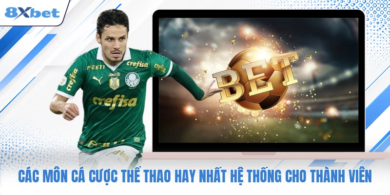 Các môn cá cược thể thao hay nhất hệ thống cho thành viên